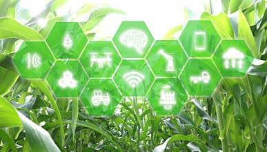 Iot, internet of things, agriculture concept, Smart Robotic artificial intelligence/ ai use for management , control , monitorin