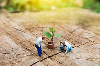 Miniature Greenhouse concept, miniature mini figures with planting tree and protect nature background. Replacement of old trees.