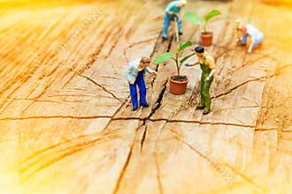 Miniature Greenhouse concept, miniature mini figures with planting tree and protect nature background. Replacement of old trees.