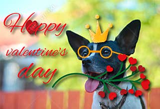 Greeting card for Valentine`s day, with a cute pug. Cartoon dog with crown and glasses and heart. illustration for a postcard or