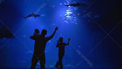 Family visits aquarium at weekend, father with two sons watching the underwater world