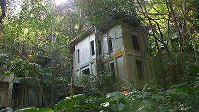 Abandoned hotel resort overgrown by plants in jungle forest, Asia. Nature versus city
