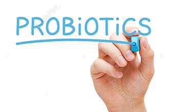 Word Probiotics Handwritten With Blue Marker