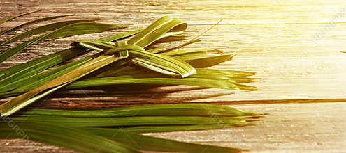 Palm Sunday concept