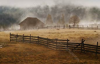 Foggy morning landscape