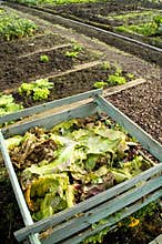 Composting