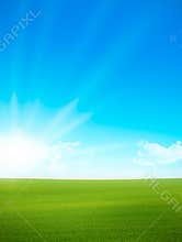 Landscape - green field and blue sky