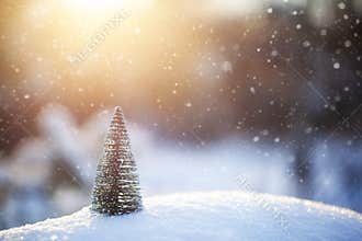 Christmas tre on snow. Winter holidays and Christmas background
