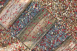 Red fall pollen scattered on the gravel and stone blocks. Selective focus