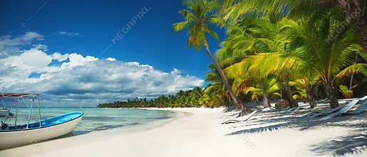 Palm trees on the tropical beach, Dominican Republic. Saona island.