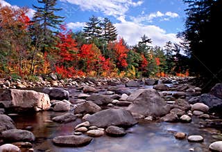 New England Fall Foliage