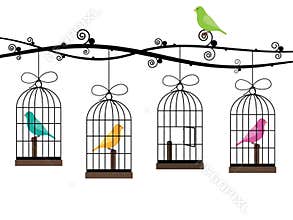 Bird cages