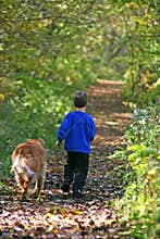 Boy walking with dog