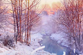 Forest creek in winter forest