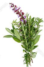 Fresh Herbs - Rosemary, Sage, Oregano