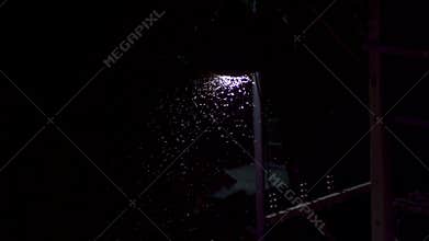 Insects circling under lantern lamp post at night time. Fireflies under the lantern