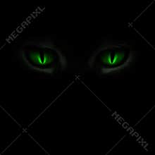 Green cat's eyes glowing in the dark