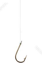 Fish Hook