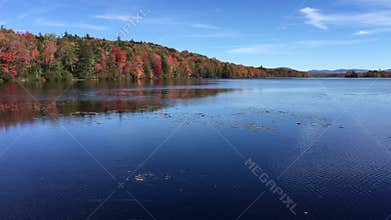Fall foliage along the Androscoggin River in northern New Hampshire.
