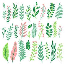Decor leaves. Green plant leaf, ferns greenery and floral natural fern leaves isolated vector set