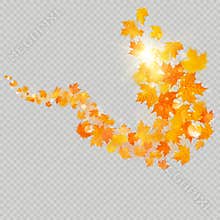 Fall maple leaves frame with delicate sun for decoration. Autumn leaves border template. Design element. EPS 10