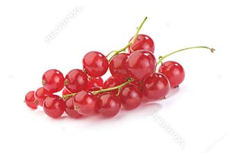 red currant
