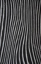 Texture wood. Veneer Zebrano. Black and white wavy background