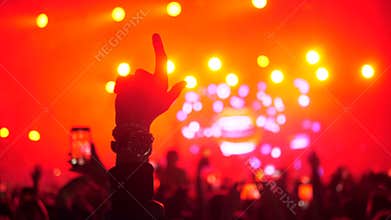 Night rock concert crowd