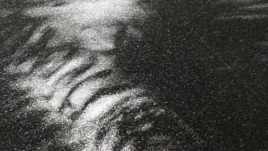 Beautiful light and shadow of tree leaves on asphalt ground