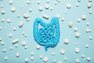 Intestines and pills, probiotics, antibiotics. Gut protection, recovery from illness and treatment