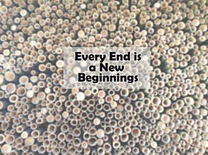 Inspirational Quote- Every end is a new beginnings. With blurry bamboos holes background cutting at the end