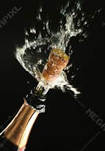 Champagne bottle ready for celebration