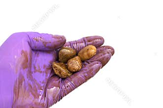 Oil Cleanup Worker Holding Soiled Rocks