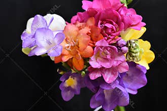 Very pretty colorful FREESI9A close up