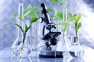 Floral science