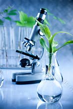 Floral science