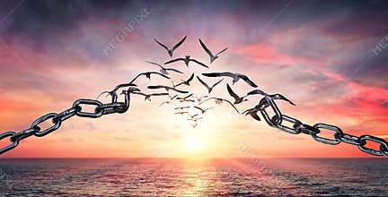 On The Wings Of Freedom - Birds Flying And Broken Chains