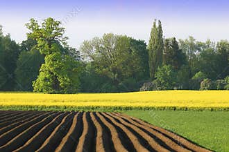 Agriculture in colour