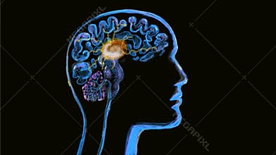 Human brain neuron activity watercolor 2D animation