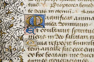 Illuminated manuscript detail