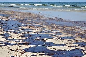 Oil Spill on Beach