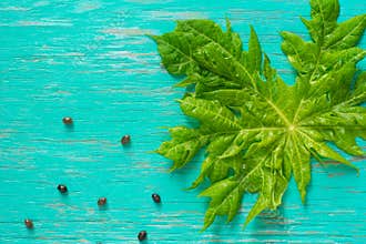 Papaya fruit on wooden background.Slices of sweet papaya on wooden.