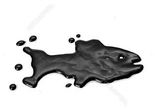 Oil spill fish