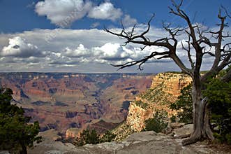 Grand Canyon
