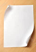 Paper