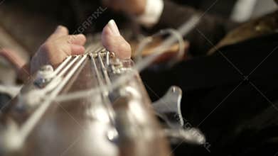 Mariachi playing bass guitar