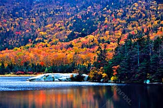 New England fall foliage