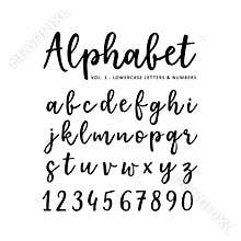 Hand drawn vector alphabet. Brush script font. Isolated lower case letters and numbers written with marker or ink