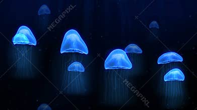 Seamless animation blue jellyfish in deep sea underwater background pattern in marine sea animal presentation or screen saver