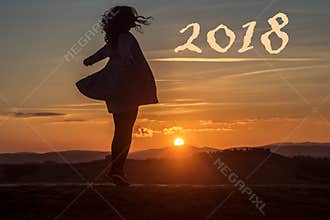 2018 New year